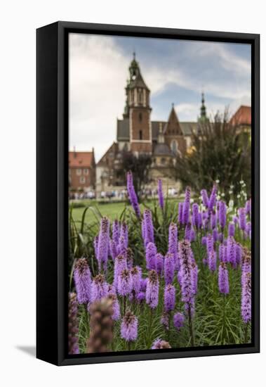 Garden in Wawel Castle, Cracow, Poland-Curioso Travel Photography-Framed Stretched Canvas