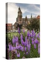 Garden in Wawel Castle, Cracow, Poland-Curioso Travel Photography-Stretched Canvas