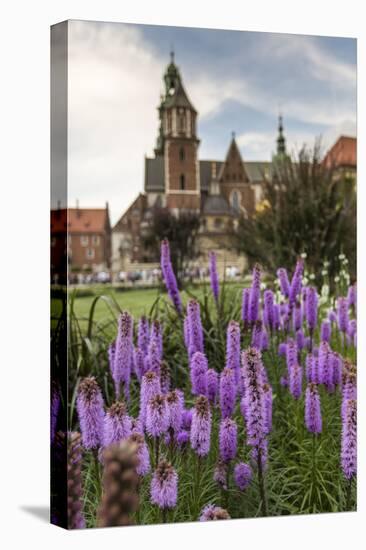 Garden in Wawel Castle, Cracow, Poland-Curioso Travel Photography-Stretched Canvas