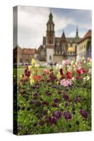 Garden in Wawel Castle, Cracow, Poland-Curioso Travel Photography-Stretched Canvas
