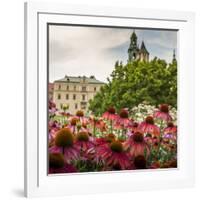 Garden in Wawel Castle, Cracow, Poland-Curioso Travel Photography-Framed Photographic Print