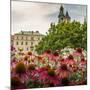 Garden in Wawel Castle, Cracow, Poland-Curioso Travel Photography-Mounted Photographic Print