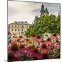 Garden in Wawel Castle, Cracow, Poland-Curioso Travel Photography-Mounted Photographic Print