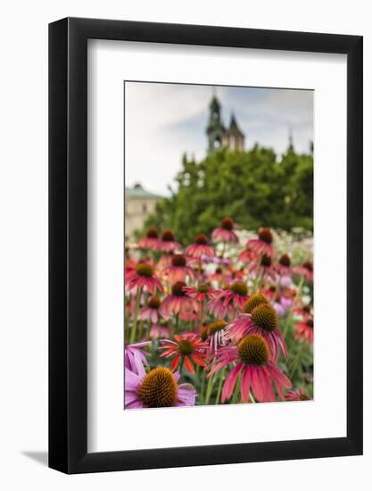 Garden in Wawel Castle, Cracow, Poland-Curioso Travel Photography-Framed Photographic Print