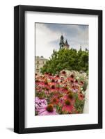 Garden in Wawel Castle, Cracow, Poland-Curioso Travel Photography-Framed Photographic Print