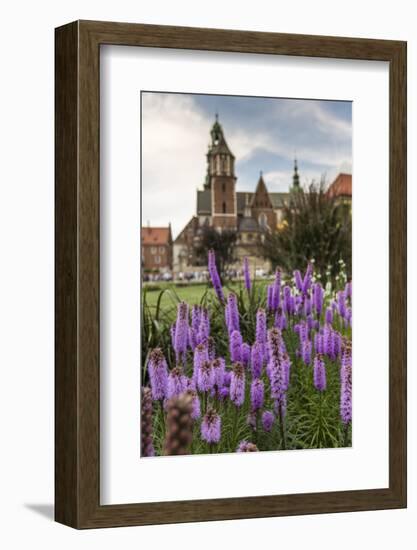 Garden in Wawel Castle, Cracow, Poland-Curioso Travel Photography-Framed Photographic Print