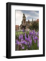 Garden in Wawel Castle, Cracow, Poland-Curioso Travel Photography-Framed Photographic Print