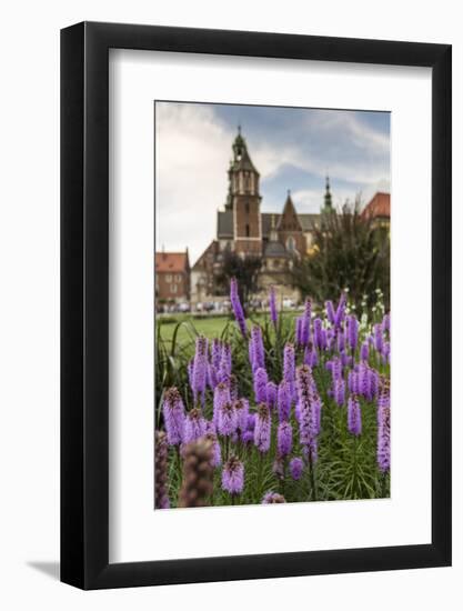 Garden in Wawel Castle, Cracow, Poland-Curioso Travel Photography-Framed Photographic Print