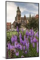 Garden in Wawel Castle, Cracow, Poland-Curioso Travel Photography-Mounted Photographic Print