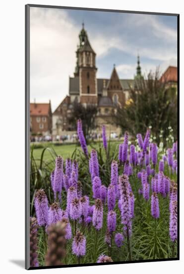 Garden in Wawel Castle, Cracow, Poland-Curioso Travel Photography-Mounted Photographic Print