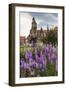 Garden in Wawel Castle, Cracow, Poland-Curioso Travel Photography-Framed Photographic Print