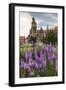 Garden in Wawel Castle, Cracow, Poland-Curioso Travel Photography-Framed Photographic Print