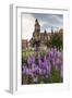 Garden in Wawel Castle, Cracow, Poland-Curioso Travel Photography-Framed Photographic Print