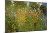 Garden Is A Sea Of Flowers-Ross Sterling Turner-Mounted Art Print