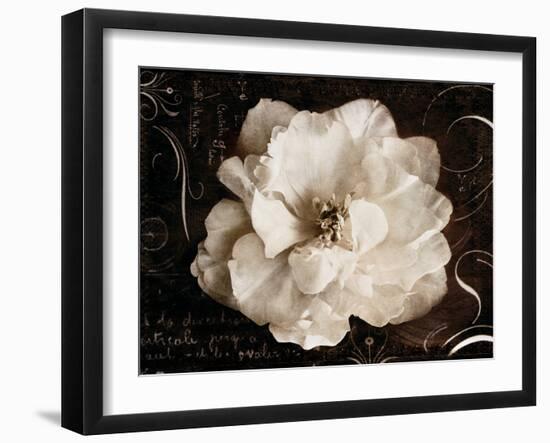 Garden Journal II-Amy Melious-Framed Art Print