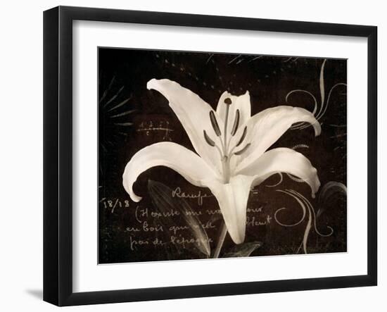 Garden Journal III-Amy Melious-Framed Art Print