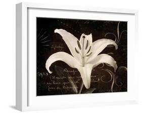 Garden Journal III-Amy Melious-Framed Art Print