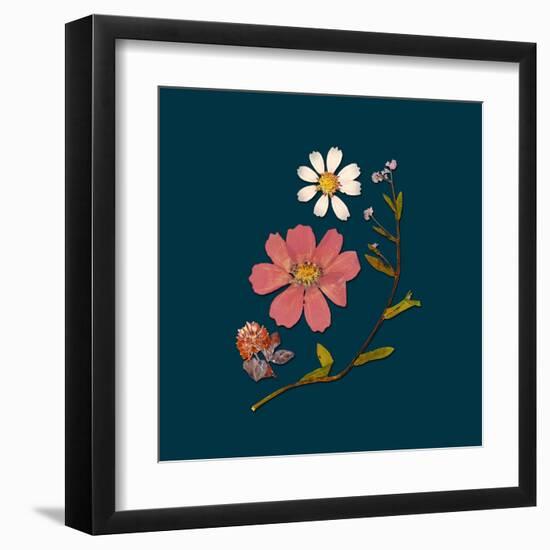 Garden Keepsake 2-Devon Ross-Framed Art Print