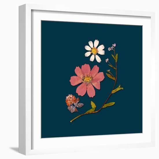 Garden Keepsake 2-Devon Ross-Framed Art Print