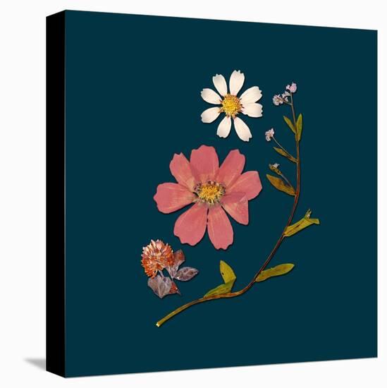 Garden Keepsake 2-Devon Ross-Stretched Canvas