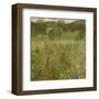 Garden Landscape-Gustav Klimt-Framed Giclee Print