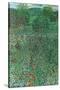 Garden Landscape-Gustav Klimt-Stretched Canvas