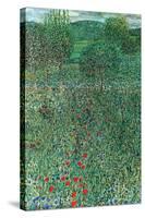 Garden Landscape-Gustav Klimt-Stretched Canvas