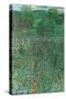 Garden Landscape-Gustav Klimt-Stretched Canvas