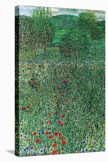 Garden Landscape-Gustav Klimt-Stretched Canvas