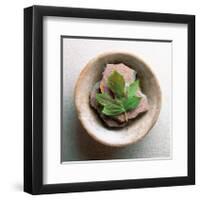 Garden Leaf-Glen and Gayle Wans-Framed Giclee Print