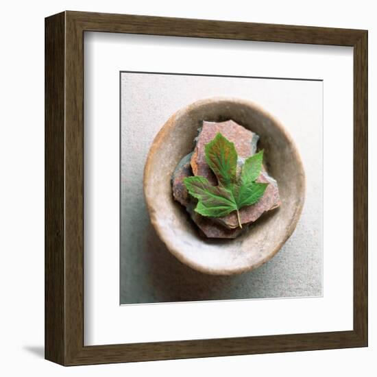 Garden Leaf-Glen and Gayle Wans-Framed Giclee Print