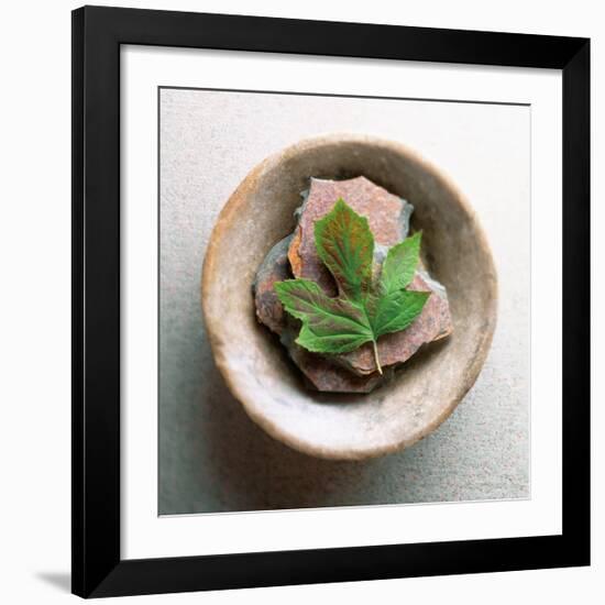 Garden Leaf-Glen and Gayle Wans-Framed Giclee Print