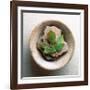 Garden Leaf-Glen and Gayle Wans-Framed Giclee Print