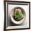 Garden Leaf-Glen and Gayle Wans-Framed Giclee Print