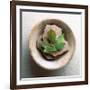 Garden Leaf-Glen and Gayle Wans-Framed Giclee Print