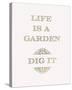 Garden Life-Joni Whyte-Stretched Canvas