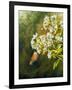 Garden Life-Bruce Nawrocke-Framed Art Print