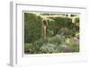 Garden Light-Stacy Bass-Framed Giclee Print