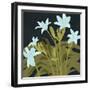 Garden Lilies I-Jacob Green-Framed Art Print