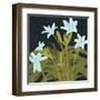 Garden Lilies I-Jacob Green-Framed Art Print