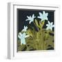 Garden Lilies I-Jacob Green-Framed Art Print