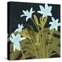 Garden Lilies I-Jacob Green-Stretched Canvas