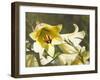 Garden Lilies-George Johnson-Framed Photographic Print