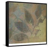 Garden Link II-Megan Meagher-Framed Stretched Canvas