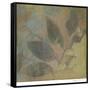 Garden Link II-Megan Meagher-Framed Stretched Canvas