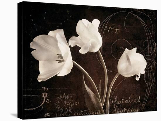 Garden Love Letter II-Amy Melious-Stretched Canvas