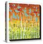 Garden Loveliness-Liz Nichtberger-Stretched Canvas