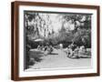 Brown Frame
