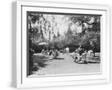 White Frame
