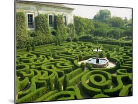 Garden Maze, Portugal, Europe-Westwater Nedra-Mounted Photographic Print